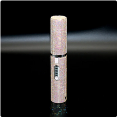 Portable Rechargeable Hair Straightener