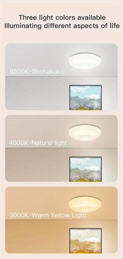 Dimmable Wireless Motion Sensor LED Ceiling Light